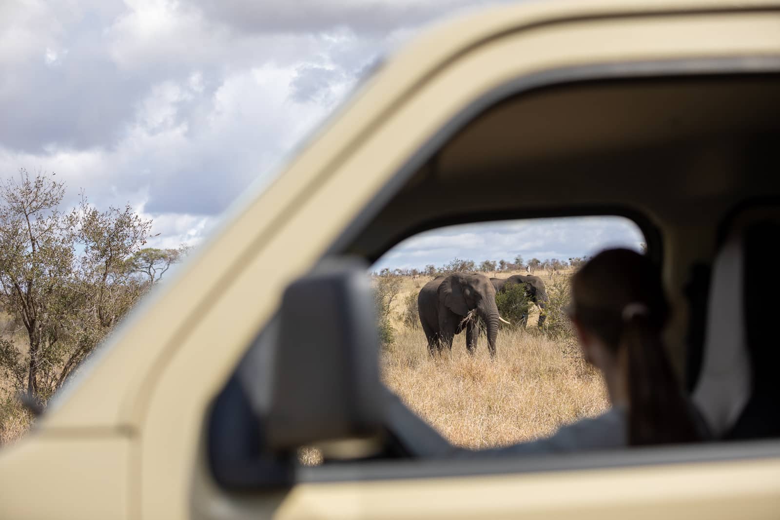Kitted Africa Kruger Car Hire-2730