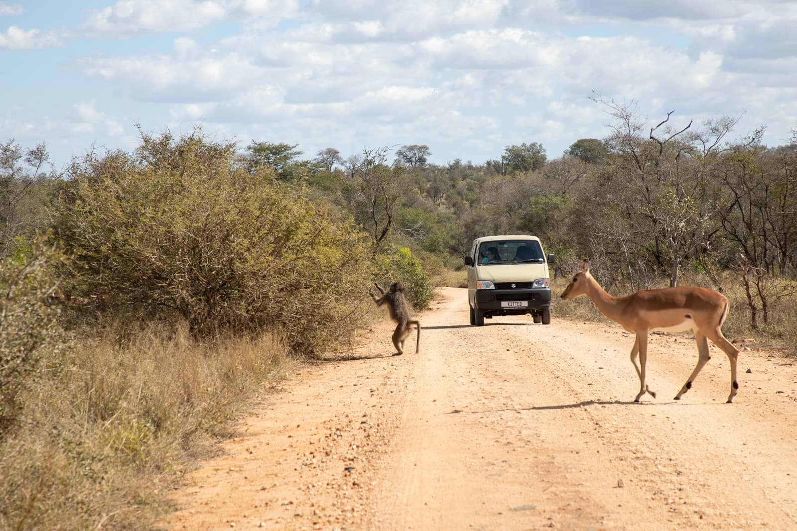 Kitted Africa Kruger Car Hire-2767
