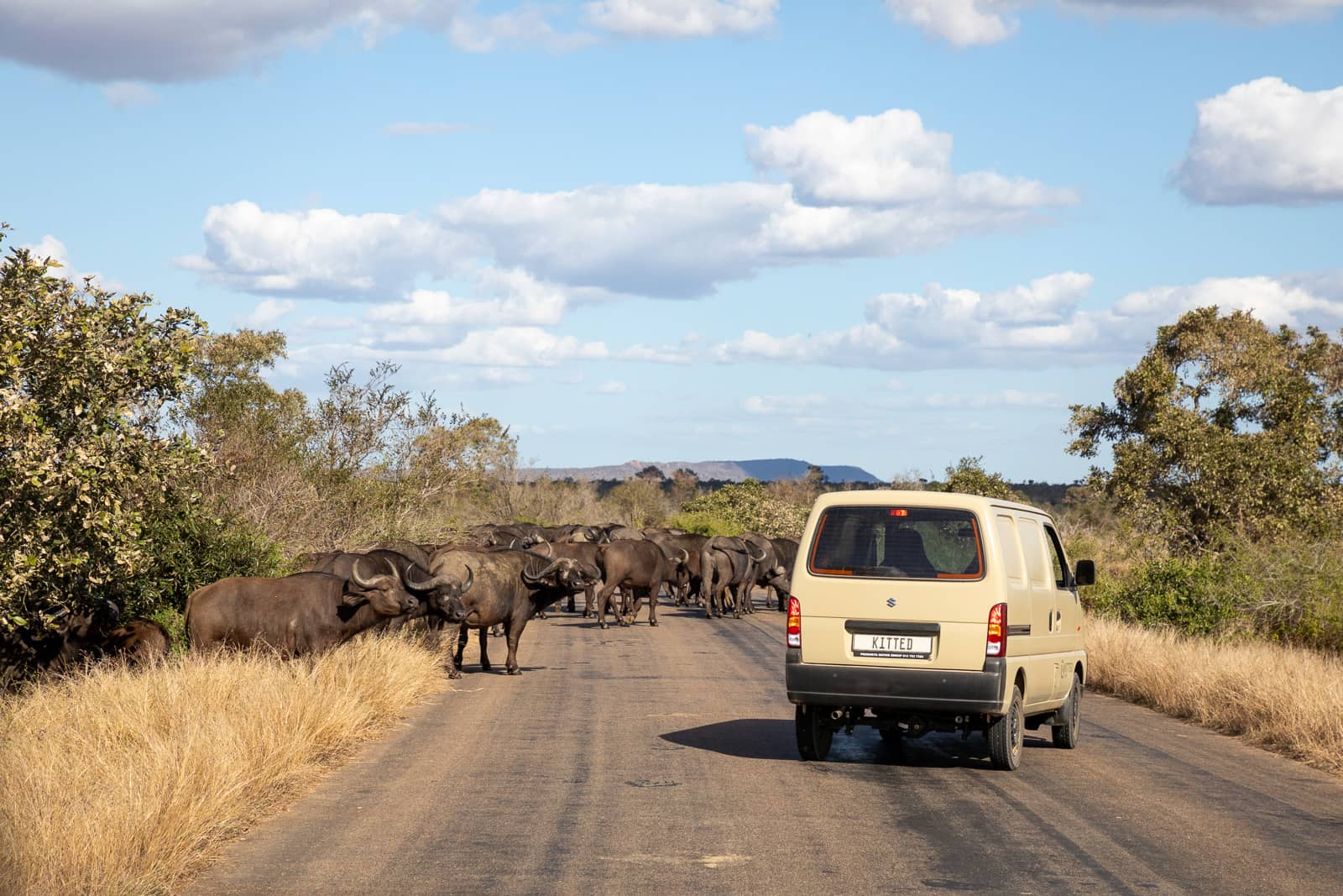 Kitted Africa Kruger Car Hire-2836