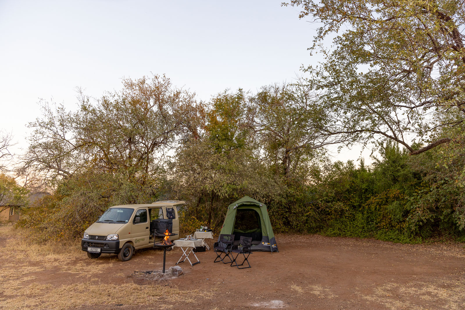 Budget-friendly safari